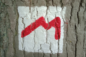 Mullerthal lus 1: voorbereiding en aankomst.