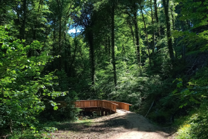 Mullerthal lus 3: van Larochette naar Müllerthal.